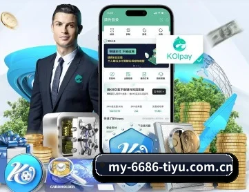 6686体育在线下载 APP 深度功能